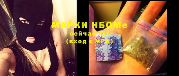 дурь Инсар