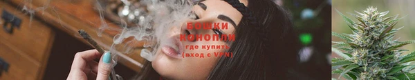 дурь Инсар