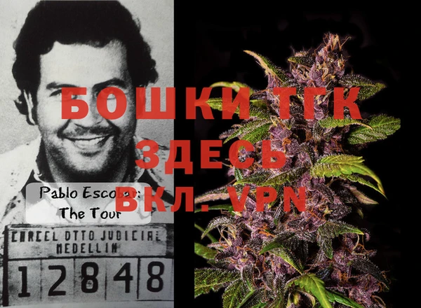 дурь Инсар