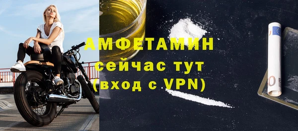 дурь Инсар