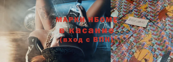 дурь Инсар