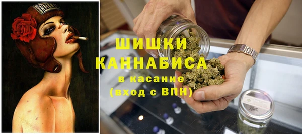 дурь Инсар