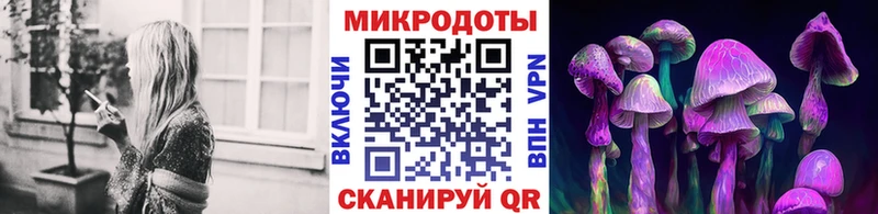 Псилоцибиновые грибы Cubensis  закладки  Камышлов 