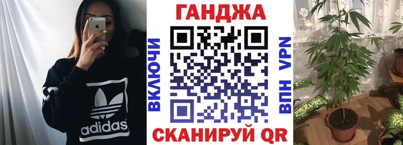 закладки  гидра как войти  Марихуана конопля  Камышлов 